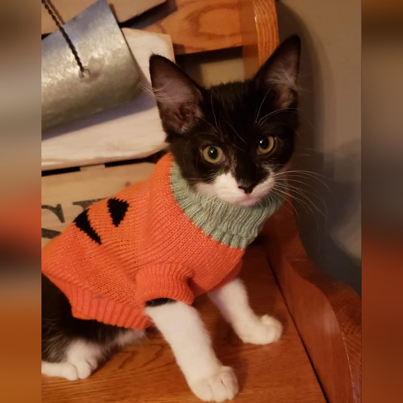 Bundle & Save.. - Picture 9 of 15